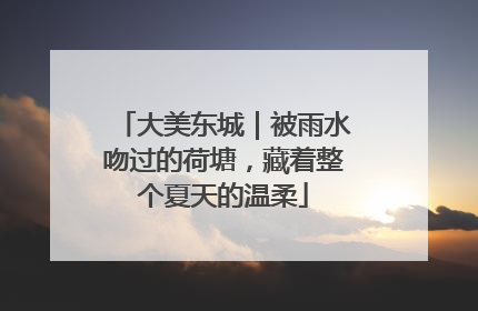 大美东城｜被雨水吻过的荷塘，藏着整个夏天的温柔