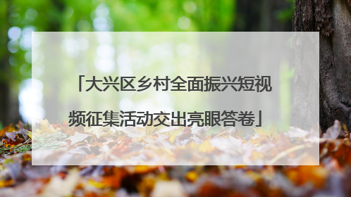 大兴区乡村全面振兴短视频征集活动交出亮眼答卷
