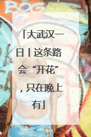 大武汉一日丨这条路会“开花”，只在晚上有