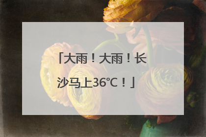 大雨！大雨！长沙马上36℃！