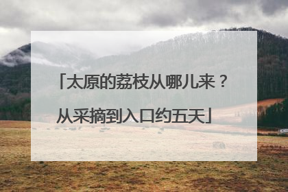 太原的荔枝从哪儿来？从采摘到入口约五天
