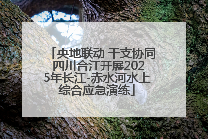 央地联动 干支协同 四川合江开展2025年长江-赤水河水上综合应急演练