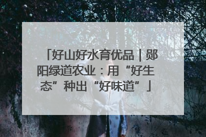 好山好水育优品｜郧阳绿道农业：用“好生态”种出“好味道”