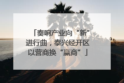 奏响产业向“新”进行曲，泰兴经开区以营商换“赢商”