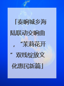 奏响城乡海陆联动交响曲，“茉莉花开”双线绽放文化惠民新篇