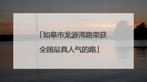 如皋市龙游湾路荣获全国最具人气的路