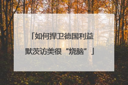 如何捍卫德国利益 默茨访美很“烧脑”