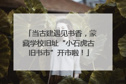 当古建遇见书香，蒙藏学校旧址“小石虎古旧书市”开市啦！