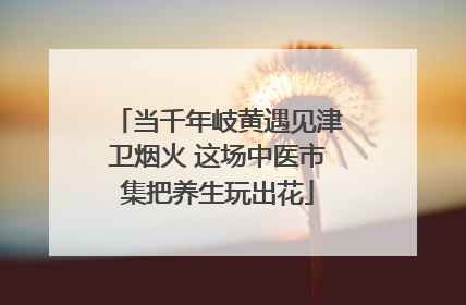 当千年岐黄遇见津卫烟火 这场中医市集把养生玩出花