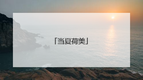 当夏荷美