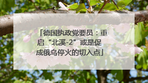 德国执政党要员：重启“北溪-2”或是促成俄乌停火的切入点