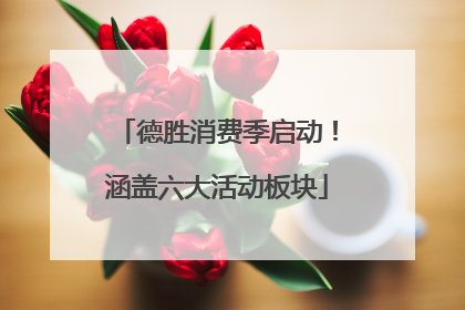 德胜消费季启动！涵盖六大活动板块