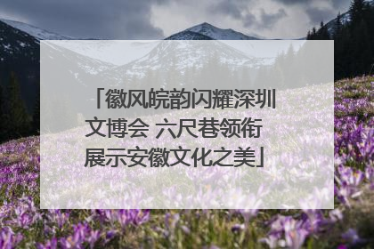 徽风皖韵闪耀深圳文博会 六尺巷领衔展示安徽文化之美
