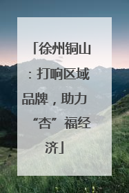 徐州铜山：打响区域品牌，助力“杏”福经济