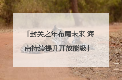 封关之年布局未来 海南持续提升开放能级