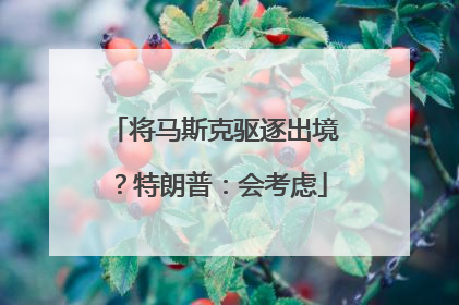 将马斯克驱逐出境？特朗普：会考虑