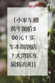 小米车模黄牛加价300元！实车本周到店？大湾区车展将亮相