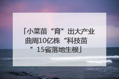 小菜苗“育”出大产业 曲周10亿株“科技苗”15省落地生根