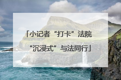 小记者“打卡”法院 “沉浸式”与法同行