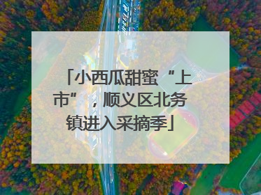 小西瓜甜蜜“上市”,顺义区北务镇进入采摘季