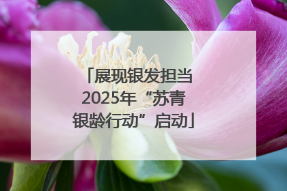 展现银发担当 2025年“苏青银龄行动”启动