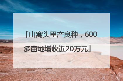 山窝头里产良种，600多亩地增收近20万元
