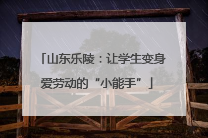 山东乐陵：让学生变身爱劳动的“小能手”