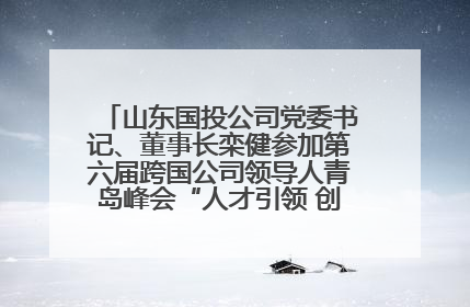 山东国投公司党委书记、董事长栾健参加第六届跨国公司领导人青岛峰会“人才引领 创新驱动”人力资源高质量发展对话会