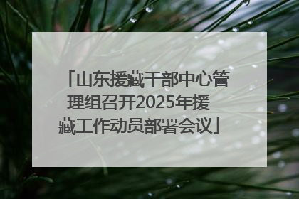 山东援藏干部中心管理组召开2025年援藏工作动员部署会议