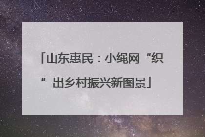 山东惠民：小绳网“织”出乡村振兴新图景