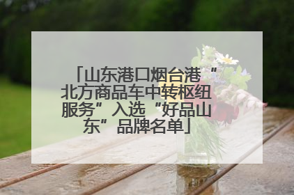 山东港口烟台港“北方商品车中转枢纽服务”入选“好品山东”品牌名单