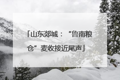 山东郯城：“鲁南粮仓”麦收接近尾声
