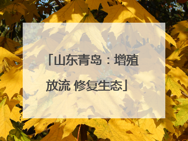 山东青岛：增殖放流 修复生态