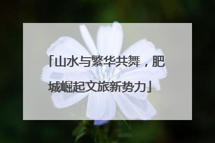 山水与繁华共舞，肥城崛起文旅新势力