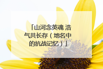 山河念英魂 浩气共长存（地名中的抗战记忆）