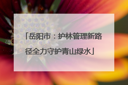岳阳市：护林管理新路径全力守护青山绿水
