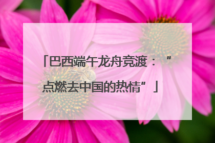 巴西端午龙舟竞渡：“点燃去中国的热情”