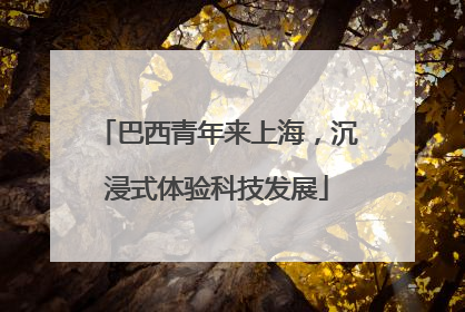 巴西青年来上海，沉浸式体验科技发展