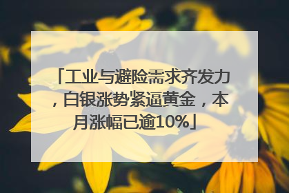 工业与避险需求齐发力，白银涨势紧逼黄金，本月涨幅已逾10%