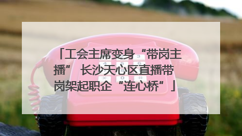 工会主席变身“带岗主播” 长沙天心区直播带岗架起职企“连心桥”