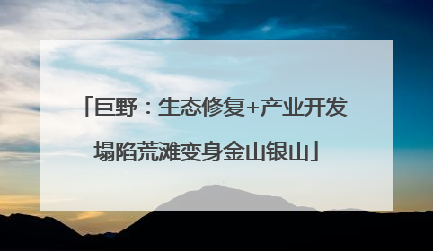 巨野：生态修复+产业开发 塌陷荒滩变身金山银山