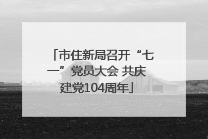 市住新局召开“七一”党员大会 共庆建党104周年