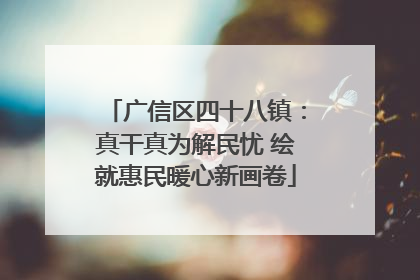广信区四十八镇：真干真为解民忧 绘就惠民暖心新画卷