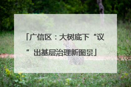 广信区：大树底下“议”出基层治理新图景