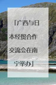 广西与日本经贸合作交流会在南宁举办