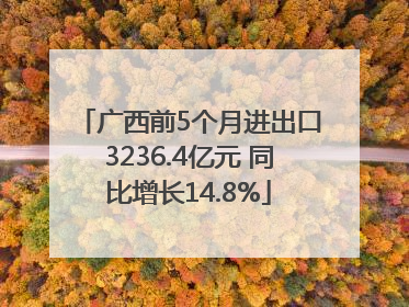 广西前5个月进出口3236.4亿元 同比增长14.8%
