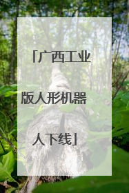 广西工业版人形机器人下线