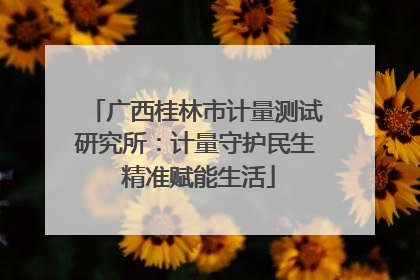 广西桂林市计量测试研究所：计量守护民生 精准赋能生活