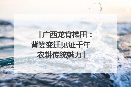 广西龙脊梯田：背篓变迁见证千年农耕传统魅力