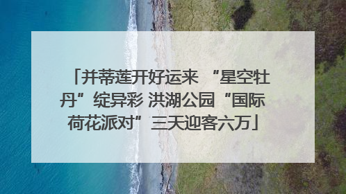 并蒂莲开好运来 “星空牡丹”绽异彩 洪湖公园“国际荷花派对”三天迎客六万